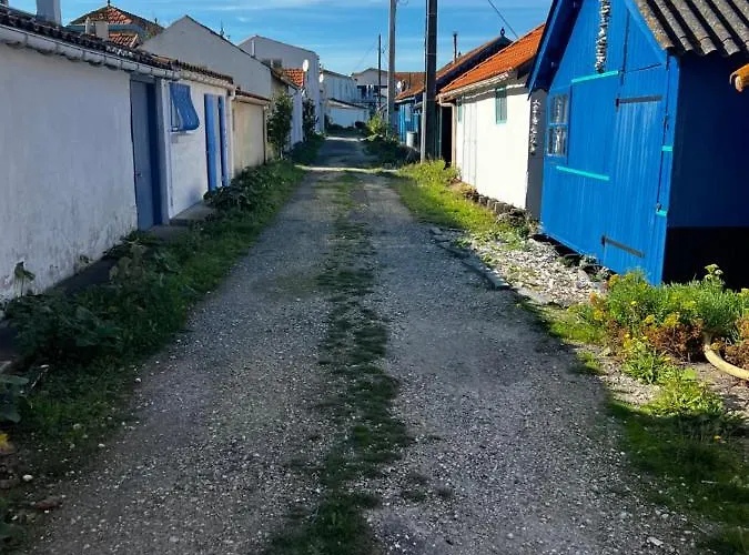 L\'Etoile De Mer